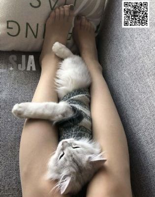 欧美整片在线视频观看网站_高清免费在线播放